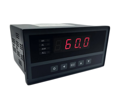 WPT標準（zhǔn）型數顯表（待停產）